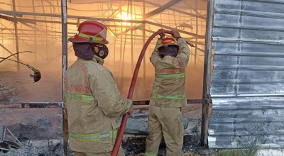 Kandang Ayam di Dander Bojonegoro Terbakar, Kerugian Rp2,8 Miliar
