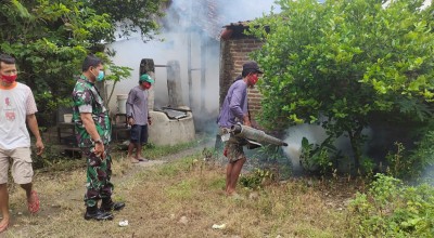 178 Warga Lamongan Terjangkit Demam Berdarah Selama 2023, Dinkes: Sudah Turun Drastis