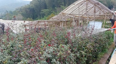 Pemkot Batu Dorong Peran Aktif 13.218 Petani Muda