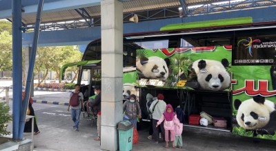 Libur Nataru, Penumpang di Terminal Seloaji Ponorogo Naik 100 Persen
