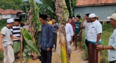Warga Pesanggar Pamekasan Tanam Pohon Pisang di Jalan yang Belasan Tahun Rusak