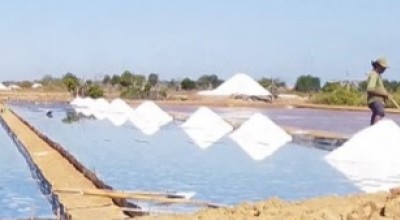 Kemarau Panjang, Produksi Garam Capai 311 Ribu Ton