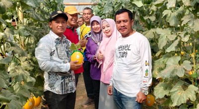 Green House Samirplapan, Pilot Project di Kecamatan Duduksampeyan Gresik