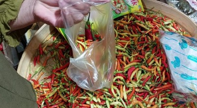 Awal Tahun 2024, Cabai Rawit di Lamongan Masih Rp75 Ribu per Kg