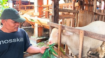 5 Trending Topik Pekan Ini, Nomor 1 Bisa Jadi Contoh Caleg Lainnya