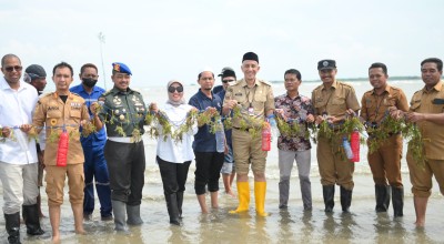 Budidaya Rumput Laut Dikembangkan di Bangkalan, Pj Bupati: BUMDes Harus Kreatif
