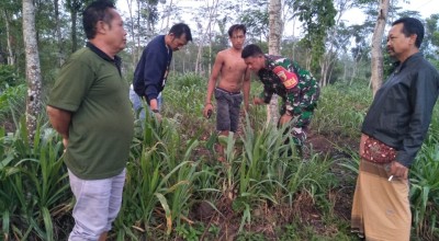 Bayi Perempuan Ditemukan di Area Persawahan Blitar