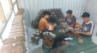 50 Napi Lapas Malang Ikuti Budi Daya Jamur Tiram, Bekal Kembali ke Masyarakat