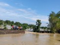 70 Ha Tambak di Lamongan Terendam Banjir, Imbas Tanggul Kali Plalangan Jebol