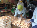 Harga Telur di Lamongan Tembus Rp31 Ribu/Kg, Susul Beras dan Cabai