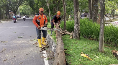 Dilanda Angin Kencang, BPBD Kota Malang Imbau Warga Waspada