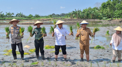 Kementan Gelontor Bantuan Dorong Produktivitas Lahan Tadah Hujan di Lamongan