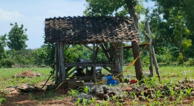 Misteri Kematian Saksi Dugaan Perampokan Sadis di Gresik, Diracun?