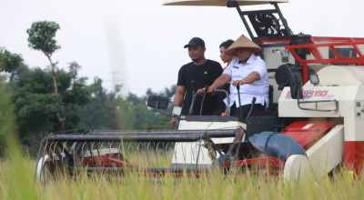 Panen Raya Probolinggo Diklaim Mampu Penuhi Kebutuhan 1,2 Juta Warga