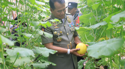 Pj Wali Kota Probolinggo Bakal Kembangkan Melon Hidroponik di Lahan Aset Pemkot