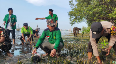 Ansor Probolinggo Tanam Mangrove di Pantai Kampung Pelangi