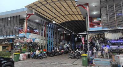 Pasang Surut Penjualan Ikan Hias di Pasar Gunungsari Surabaya