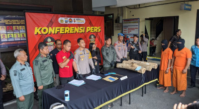 Curi Pohon Jati Milik Perhutani, 2 Pria di Tulungagung Diringkus Polisi