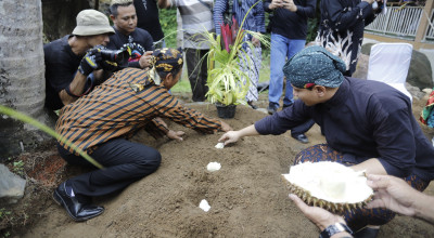 Bupati Trenggalek Ikuti Ritual Metri Durian, Apa Itu?