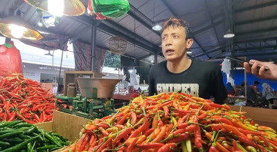 Pedagang Bongkar Rahasia Cabai di PISS Segar Tahan Lama