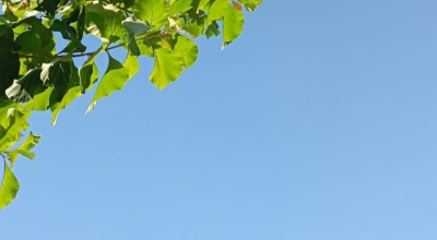 Prakiraan Cuaca Surabaya Minggu 26 Mei: Akhir Pekan Tanpa Mendung dan Hujan