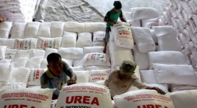 Kuota Pupuk Subsidi di Probolinggo Bakal Ditambah, Diperta Rapikan Data