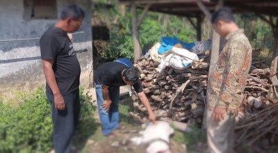 Tidak Cocok Harga, Warga Pacitan Racuni Kambing Tetangga