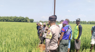 Petani di Bojonegoro Tewas Tersengat Listrik Saat Perbaiki Pompa Air