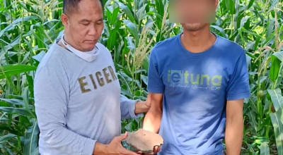 Pura-pura Kena Begal, Oknum Kurir Sidoarjo Habiskan Setoran untuk Judi Online