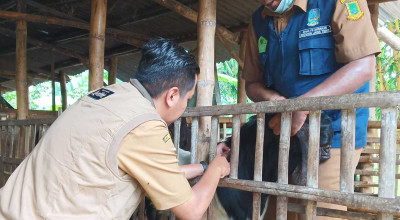 Pemilik Hewan Tak Perlu Antre di Puskeswan Mojokerto, Begini Caranya