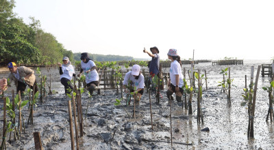 Pelindo Tanam 20.000 Bibit Mangrove di Desa Bancaran Bangkalan