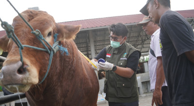 Antisipasi Bahaya PMK, DKPP Kediri Rutin Cek Hewan Kurban Sampai Idul Adha