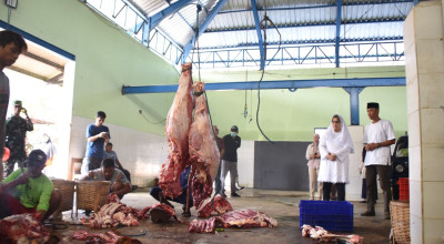 Pemotongan Hewan Kurban di RPH Kota Kediri Membludak, Pj Wali Kota Lakukan Peninjauan