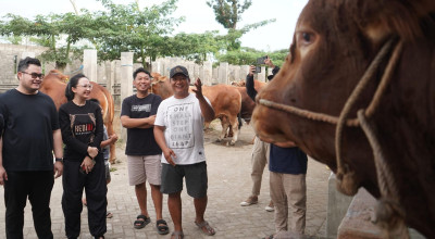 Mas Dhito Beli 4 Sapi Limosin di IBS Farm Plosoklaten untuk Kurban