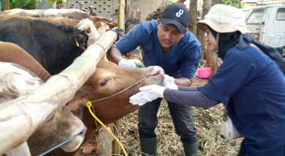 Rayakan Idul Adha 1445, SIG Bagikan 331 Hewan Kurban di 23 Provinsi