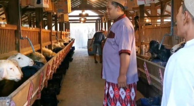 Kandang Kambing Bak Villa, Pj Bupati Jombang, Diserang Oknum Bonek