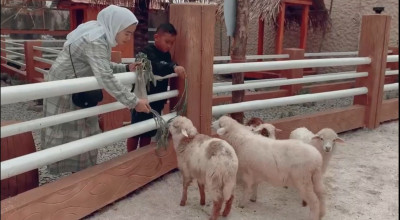 Rekomendasi Wisata Edukasi Anak di Jember, Dira Rustic Usung Konsep Farm House