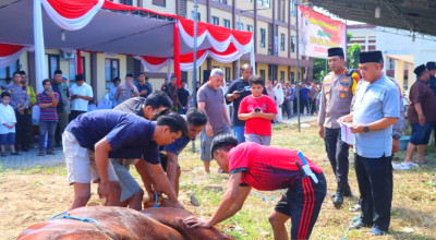 Polresta Sidoarjo Salurkan Hewan Kurban 21 Sapi dan 55 Kambing