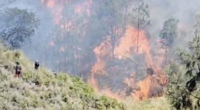 Gunung Batok di Kawasan Bromo Terbakar, Pemadaman Manual