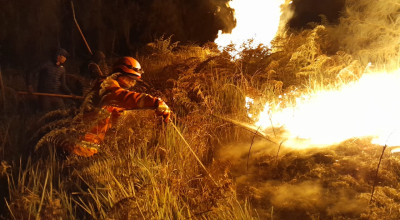 Kawasan Gunung Bromo Terbakar Lagi, TRC BPBD Jatim Berjibaku Padamkan Api