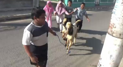 Sisihkan Uang Jajan, Bocah Kelas 2 SD di Bangkalan Berkurban Kambing