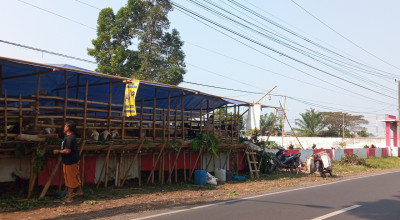 Pedagang Kambing Kurban Jember Nginap di Kuburan Akui Kerap Lihat Hantu