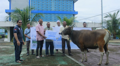Idul Adha 1445 Hijriah, Pelindo Petikemas Salurkan 215 Hewan Kurban