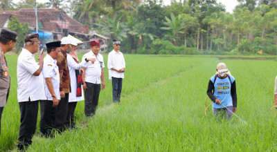 Beras Organik Banyuwangi Tersedia di 18.000 Supermarket Se-Indonesia