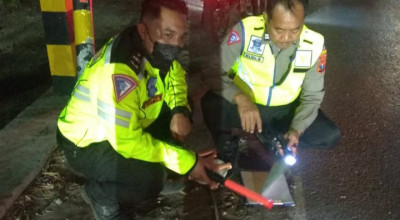 2 Pemotor Tewas Adu Banteng di Jalur Pantura Probolinggo