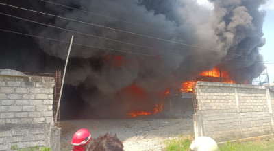 63 Ribu Ekor Ayam Potong di Tulungagung Ludes Terbakar