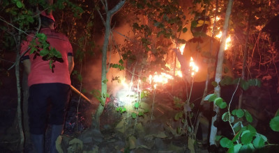 2 Hektare Hutan Gunung Jaas Trenggalek Terbakar