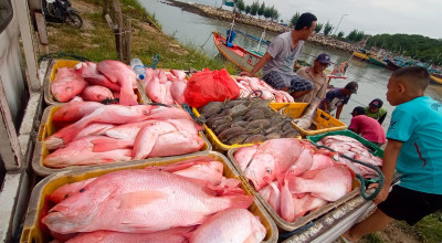Pemkab Lamongan Ajak Warga Tingkatkan Konsumsi Ikan, Gelar Demo Masak dan UMKM