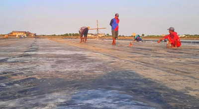 Puncak Musim Kemarau, Petani Garam Sedati Sidoarjo Mulai Produksi