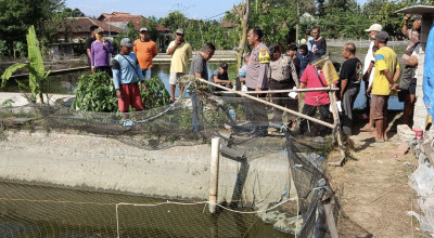 Warga Tulungagung Ditemukan Tewas di Kolam Ikan, Diduga Tersengat Listrik